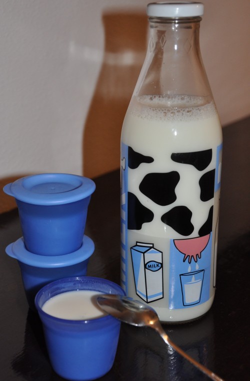 Yogur casero Thermomix